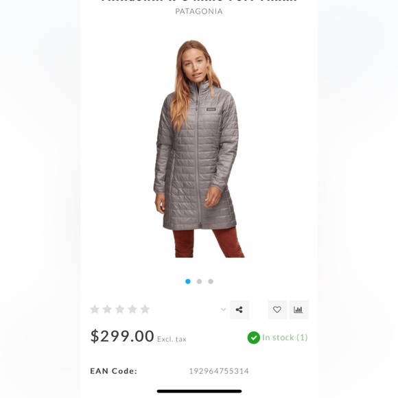 Patagonia Radalie Insulated Parka - Size Small - Silver - Picture 8 of 9